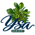 ysanursery.com